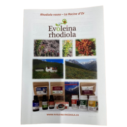 Flyer auf Deutsch