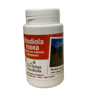 Rhodiola rosea gélules